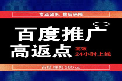 百度竞价排名实战：某行业领先企业的成功之路